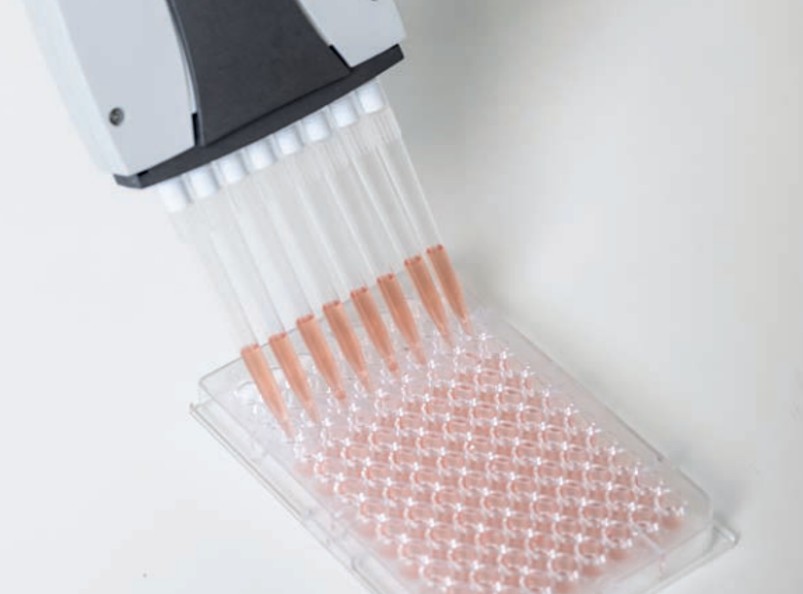 ARCHIMED purchases BioVendor Group, a leading global player in advanced diagnostics